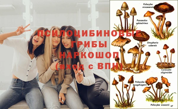 MESCALINE Нефтекумск