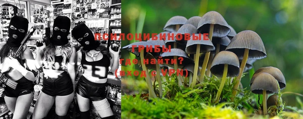 прущая мука Абдулино